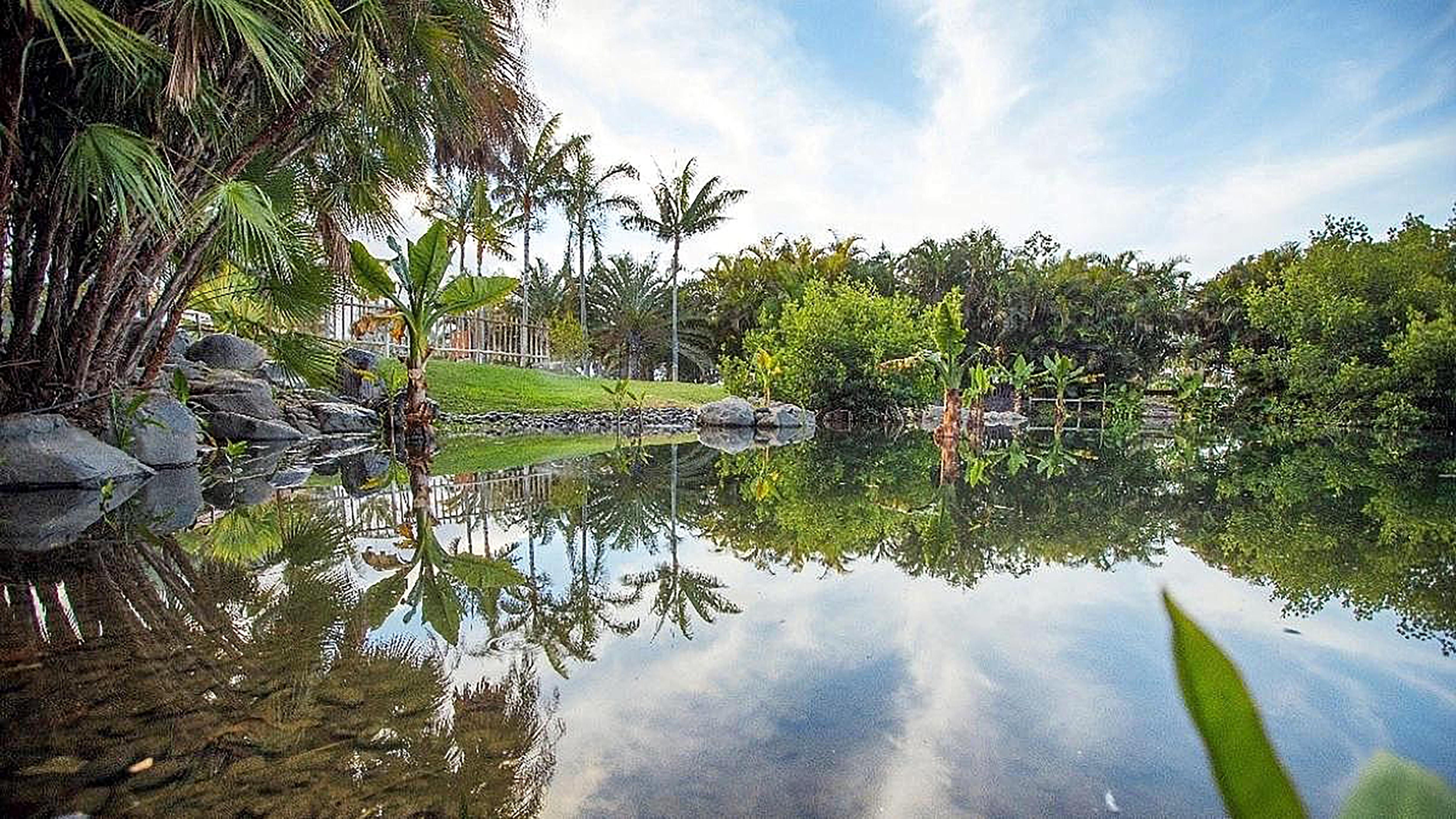 Hotel Adonis Plaza Σάντα Κρουζ Τενερίφης Εξωτερικό φωτογραφία